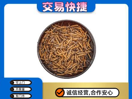 淄博高价回收散虫草